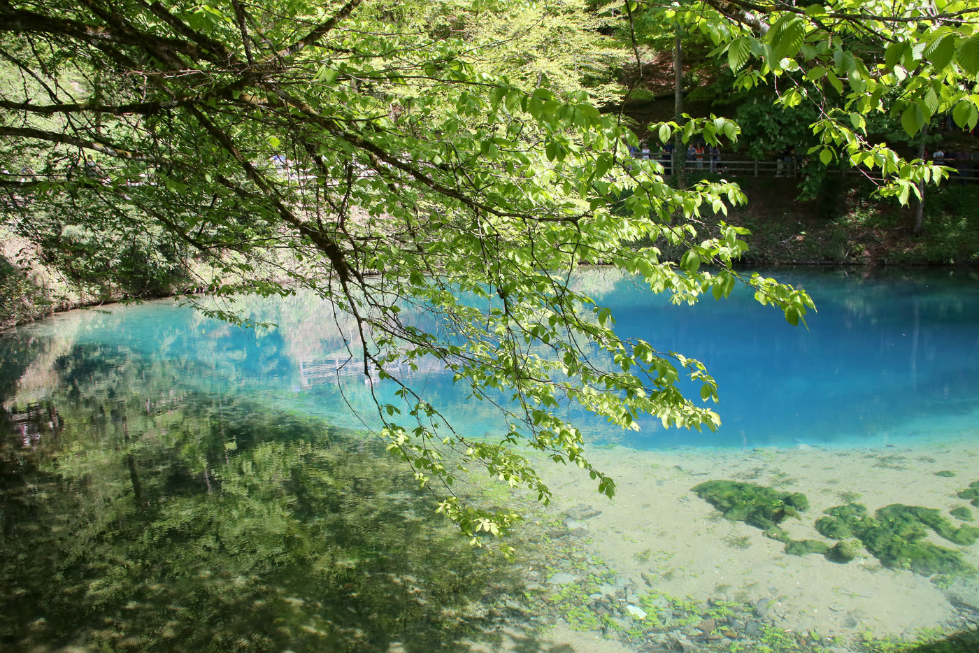 Der türkisblaue Blautopf zwischen frischem Frühlingsgrün Der türkisblaue Blautopf zwischen frischem Frühlingsgrün